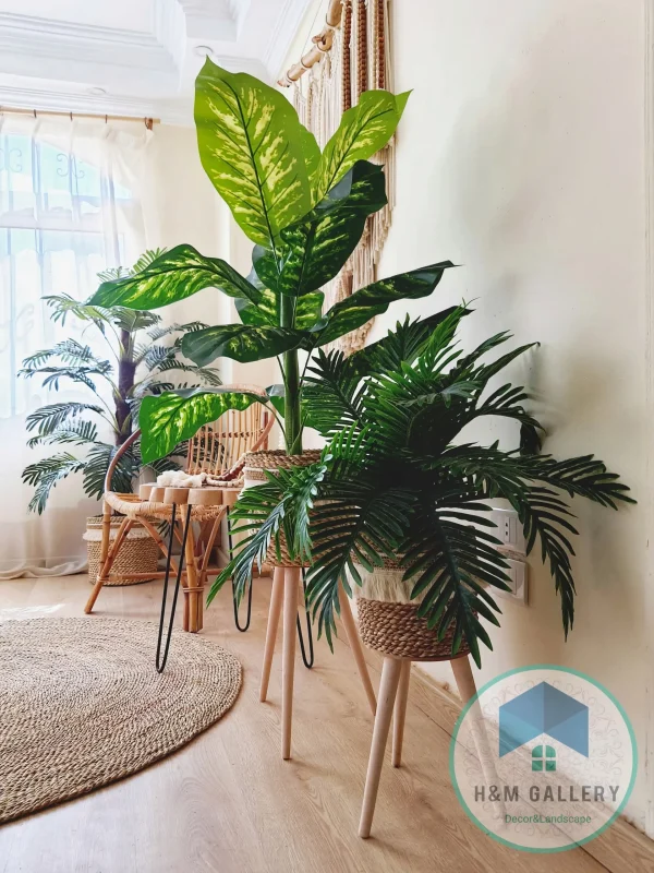 Artificial plants shape12