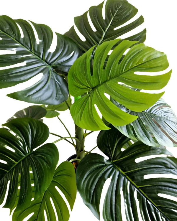 Set Pot and plant spp6