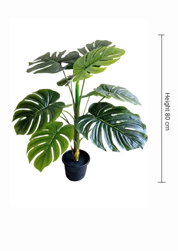 Set Pot and plant spp6