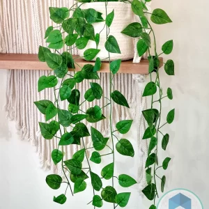 rope pot&plant shape25