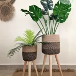 Matching Collection 2