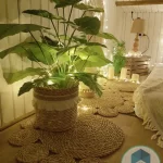 Pot and plant shape5