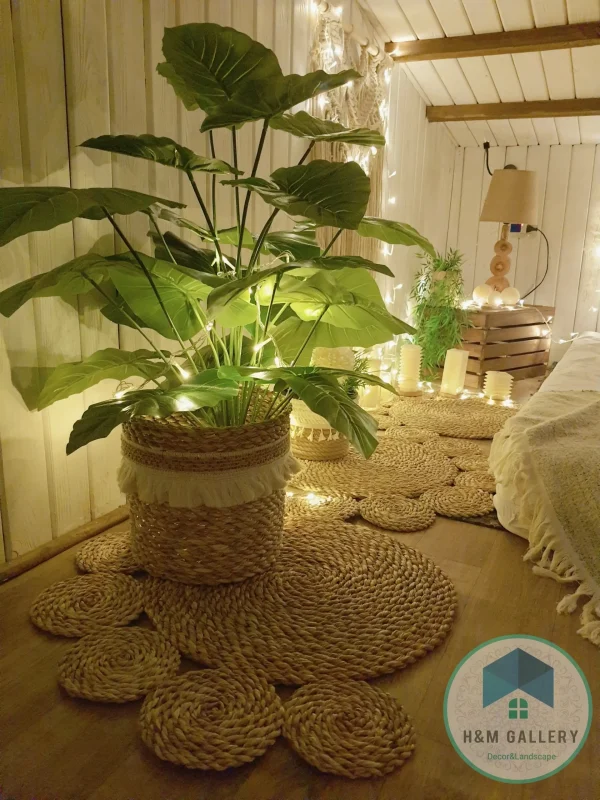 pot a plant 101 Pot and plant shape5