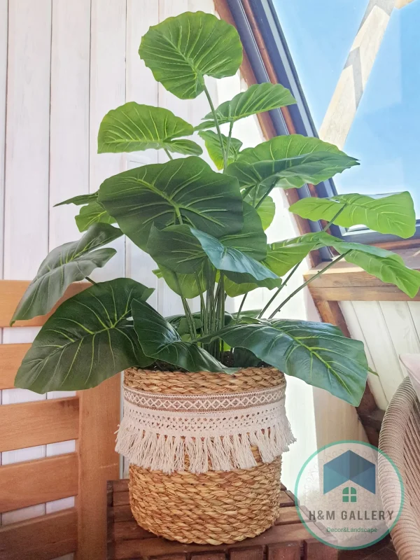 pot a plant 102 Pot and plant shape5