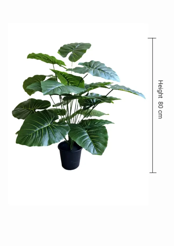 pot a plant 103 Pot and plant shape5