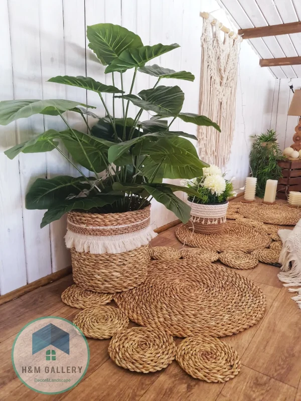 pot a plant 105 Pot and plant shape5