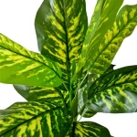 Set Pot and plant spp4