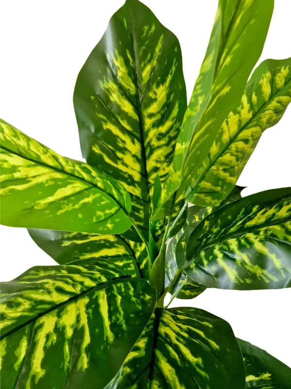 Set Pot and plant spp4