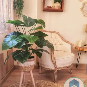 Pot and plant shape4