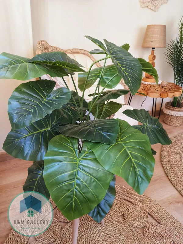 pot a plant 111 Pot and plant shape4