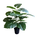 Pot and plant shape4