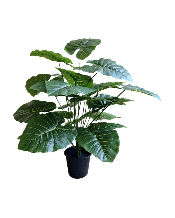 pot a plant 113 Pot and plant shape4