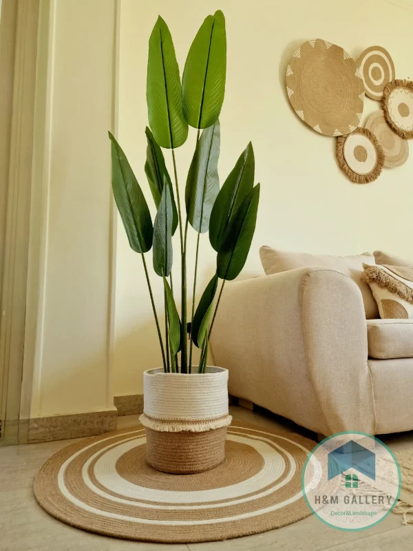 pot a plant 121 Pot and plant shape3