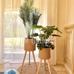 Matching Collection 3