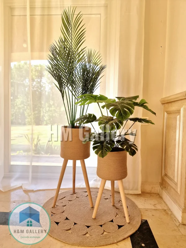 Matching Collection 3