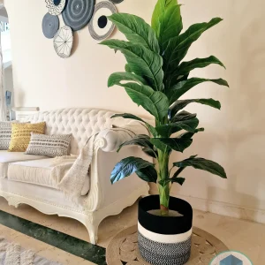 Pot and plant shape1