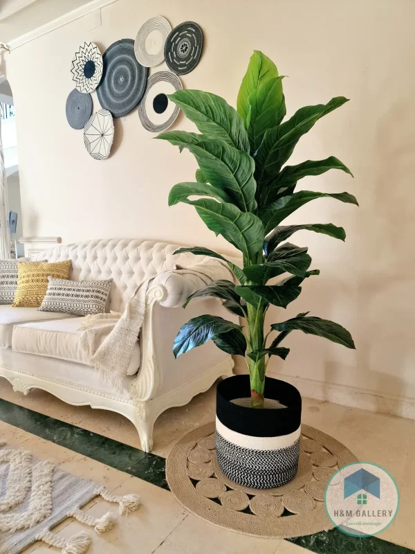 Pot and plant shape1