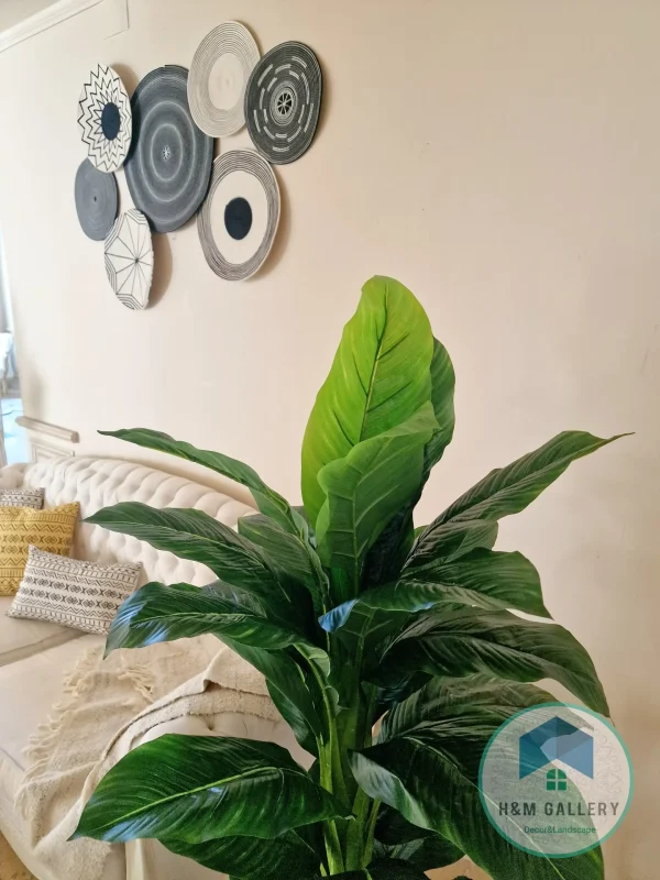 Pot and plant shape1