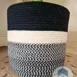 Pot and plant shape1