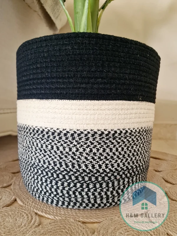 Pot and plant shape1