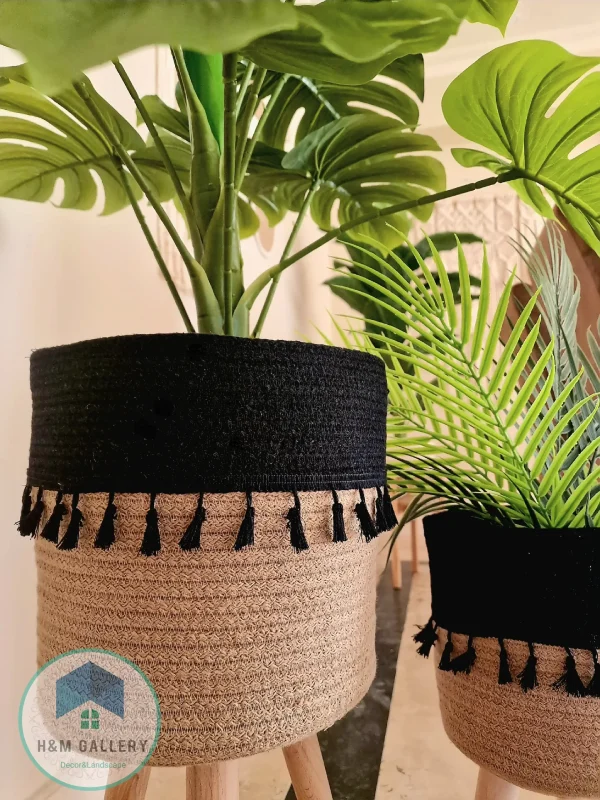 Set Pot and plant spp6