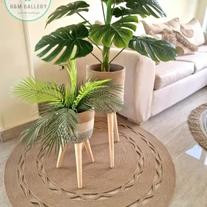 Set Pot and plant spp2