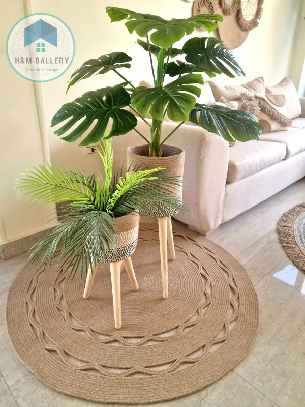 Set Pot and plant spp2