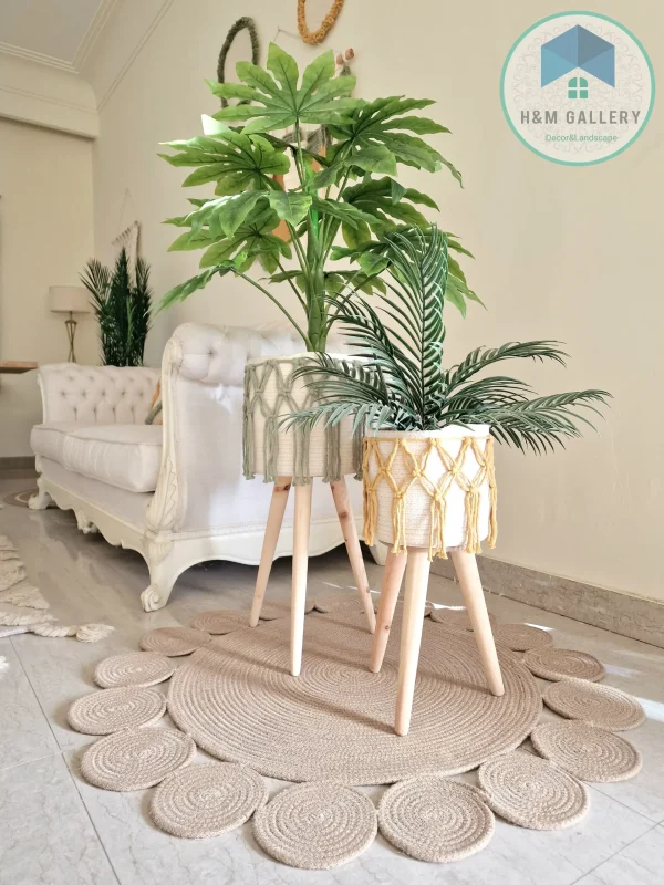 Set Pot and plant spp10