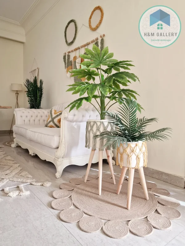 Set Pot and plant spp10