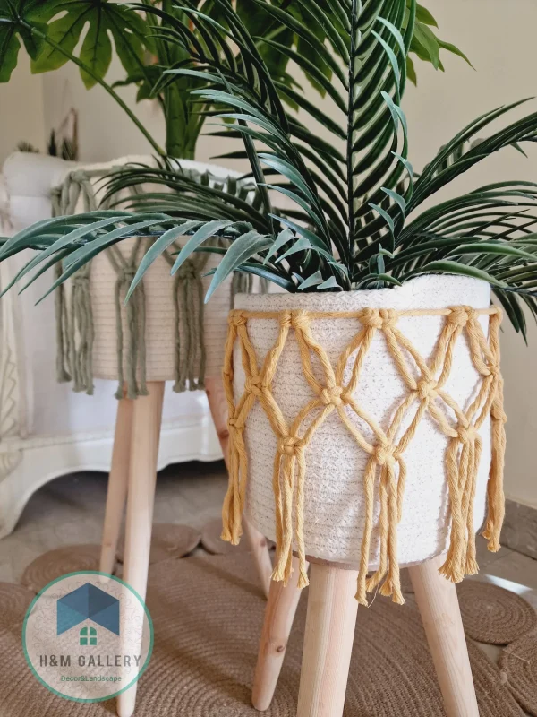 Set Pot and plant spp10