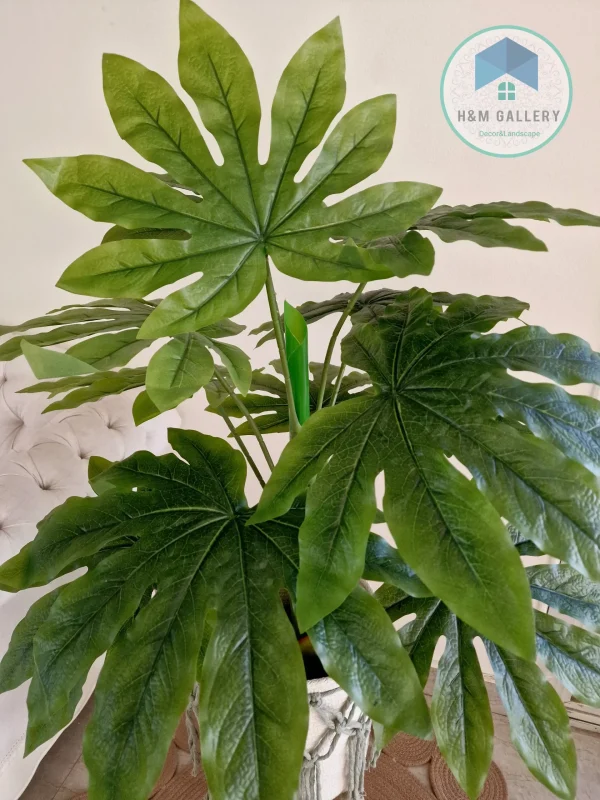 Set Pot and plant spp10