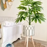 Set Pot and plant spp10