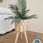 Set Pot and plant spp10