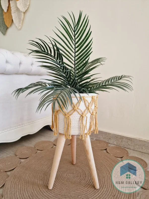 Set Pot and plant spp10