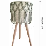 Set Pot and plant spp10