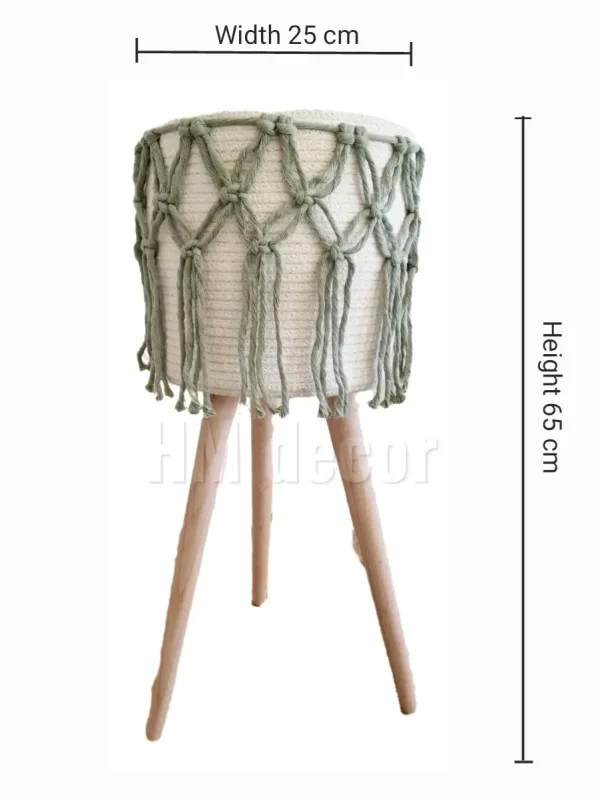 Set Pot and plant spp10