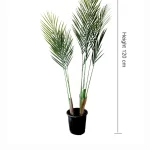 Pot and plant shape15