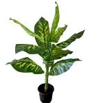 Pot and plant shape13