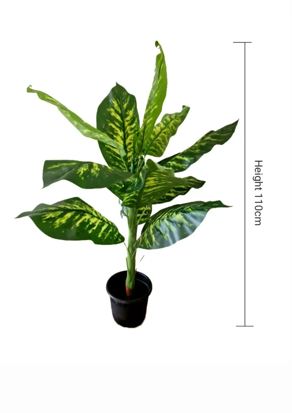 Pot and plant shape13