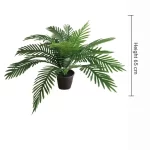 Pot and plant shape13