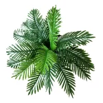 Pot and plant shape13