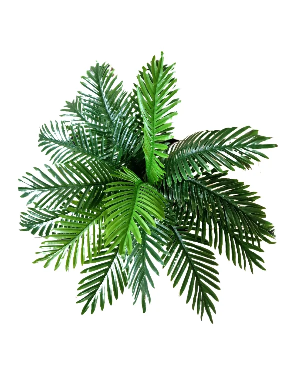 Pot and plant shape13