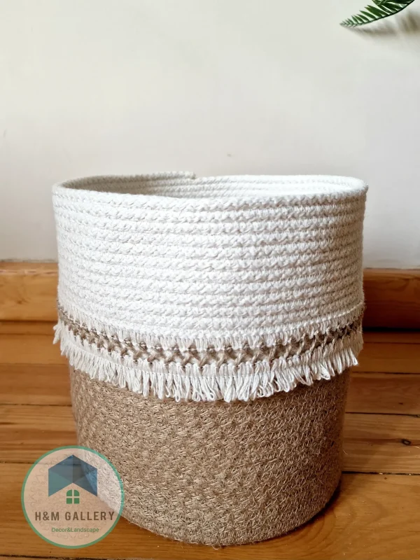 Pot and plant shape15