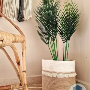 Pot and plant shape15