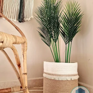 Pot and plant shape15