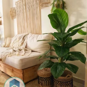 Pot and plant shape10