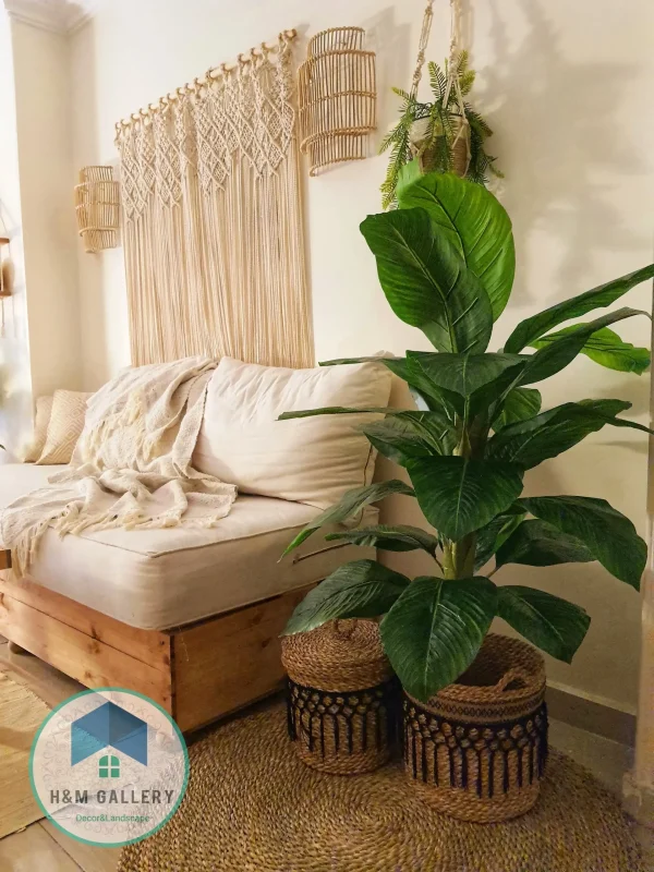 Pot and plant shape10