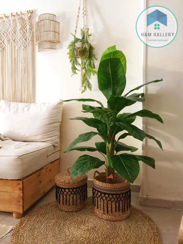 Pot and plant shape10