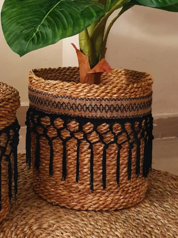 Pot and plant shape10