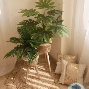Pot and plant shape9
